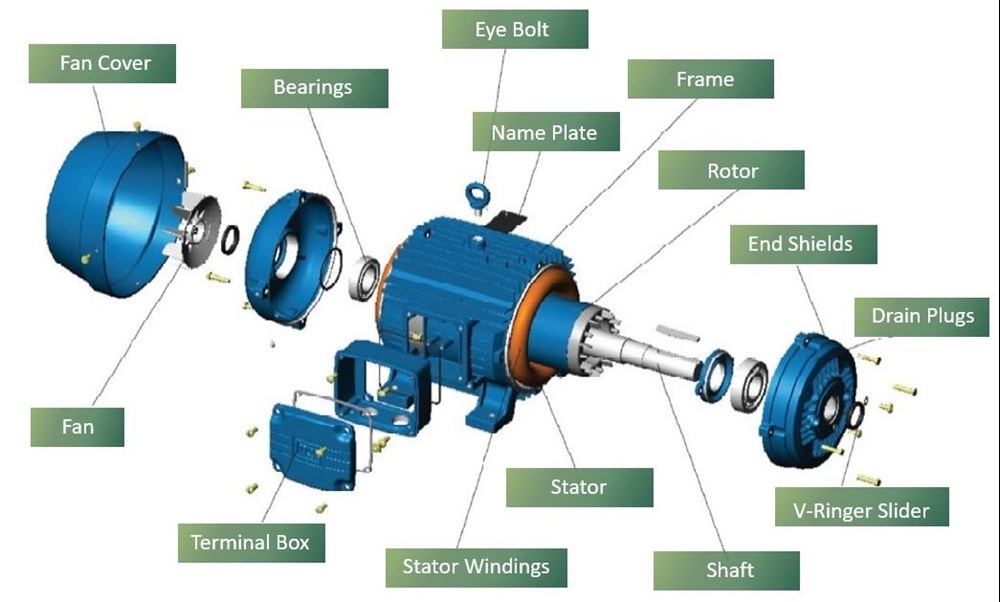 Figure Four: The components of a general purpose AC induction motor